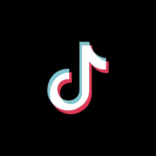 TikTok Ads